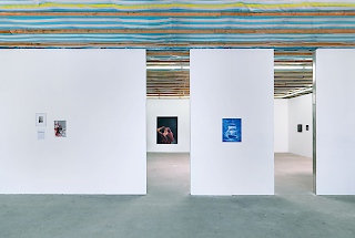 installation view, Photo: Jens Ziehe