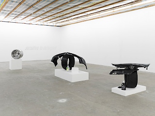 installation view, Photo: Nick Ash