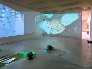installation view