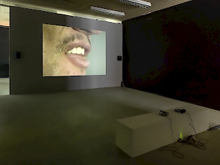 Re Dis IV,Katarina Zdjelar, installation view, Photo: Roman März