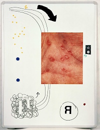 installation view, Photo: Autocenter