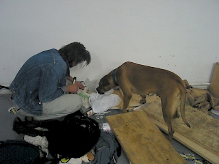 opening scene, Photo: Autocenter